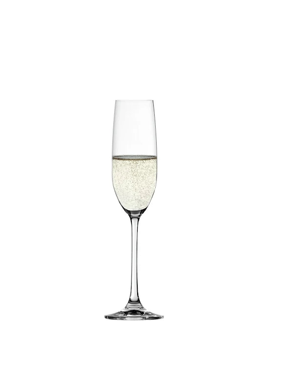 Spiegelau Salute Champagne Glas 21 cl 4-p