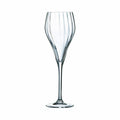 Chef & Sommelier Symètrie Champagneglas 6-pack 16 cl