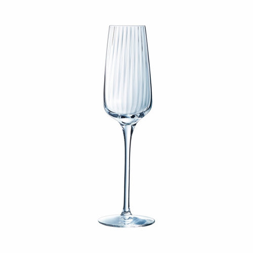 Chef & Sommelier Symetrie Champagneglas 6-pack 21 cl